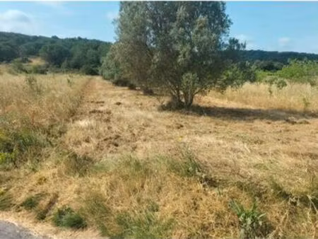 terrain 807 m2 vinassan /mader avec 8 oliviers cinquantenaires