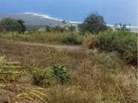 chercher petit terrain sur toute l’île