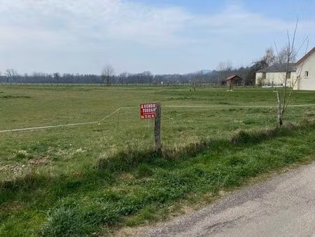 terrain constructible