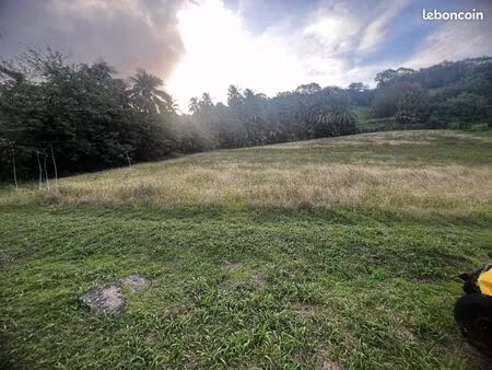 vente terrain de 1588m2 au lorrain 97214