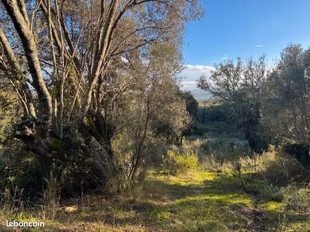 terrains viabilisés avec permis purgé-villas t3/t4 proche de porto-vecchio