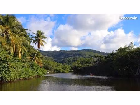 terrain verdoyant en basse-terre
