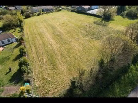 grand terrain constructible