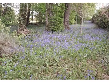 terrain constructible arboré avec abri de jardin et mare