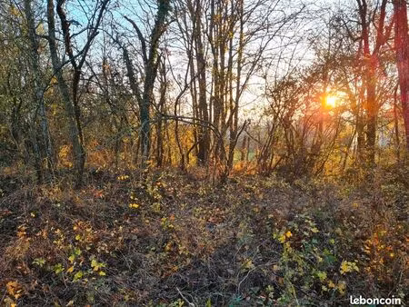 verger terrain loisir