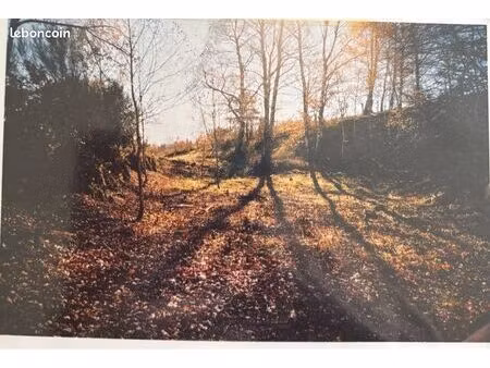 terrain constructible de 1059 m2