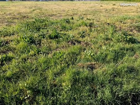terrain 1 960 m² cherac