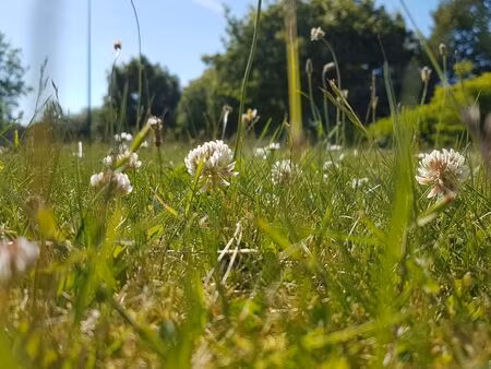 terrain viabilisé à plonéour-lanvern