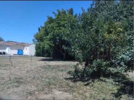 terrain constructible