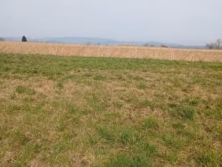 terrain 987 m² saint vallier