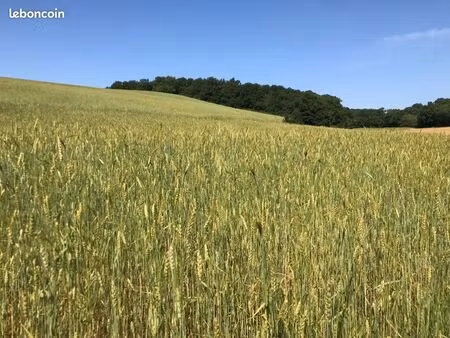 vend 12 28ha de terre agricole