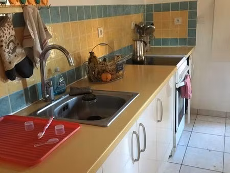 appartement t2 55 m²