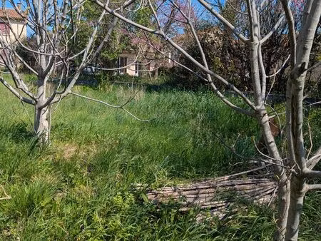 terrain constructible