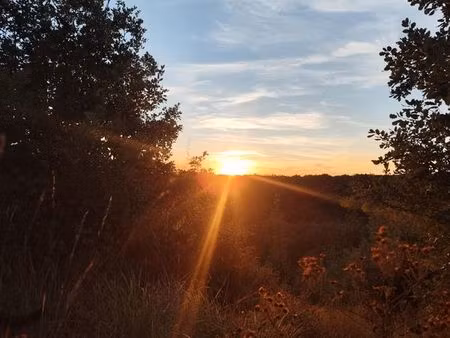 parcelles de loisirs – nature – salazac / saint-christol-de-rodières
