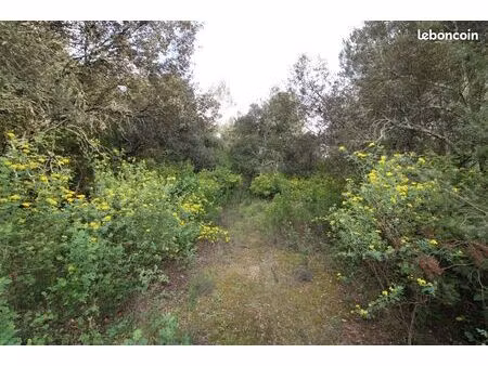 terrain 1000 m² saumane