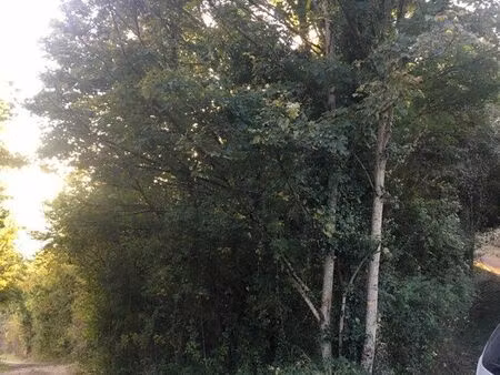 lot de 3 terrain mâlain 2500 m2