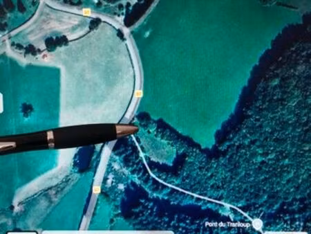 forêt préservé avec champ et ruisseau