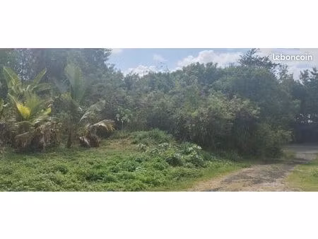 terrain à vendre le moule