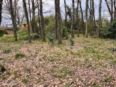 terrain constructible 494 m² arboré – lembras – proche bergerac / parc de pombonne