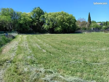 terrain constructible