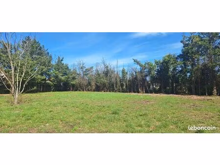 terrain constructible viabilisé