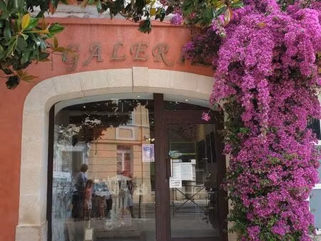 a vendre local commercial pouvant être converti en habitation. surface total 32 m2. grande