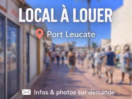 local commercial port leucate - glacier / snack