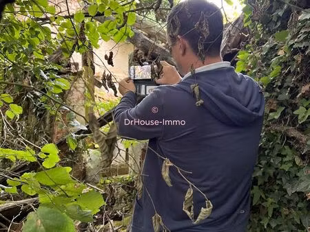 maison 2 pièces 50 m²