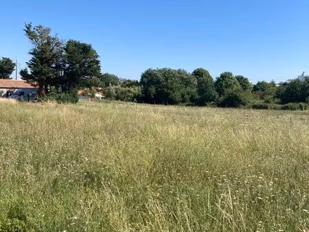 terrain constructible