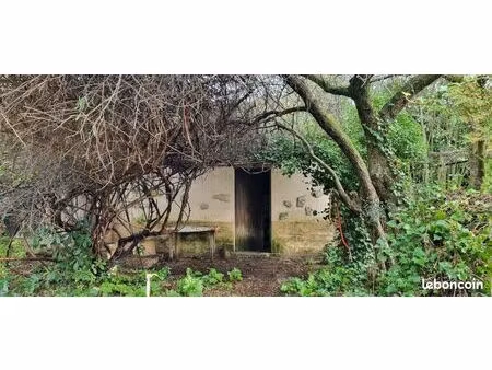 vente terrain avec petit mazet