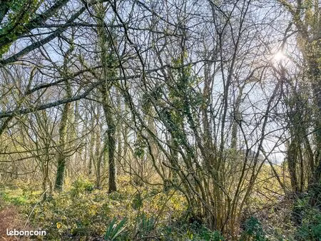 terrain 1990 m² hédé bazouges