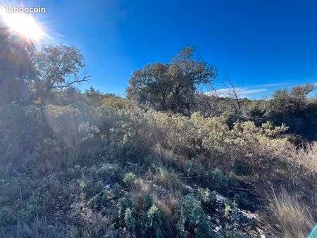 terrain 6 560 m² gigean