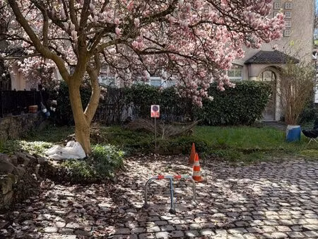 location place de parking