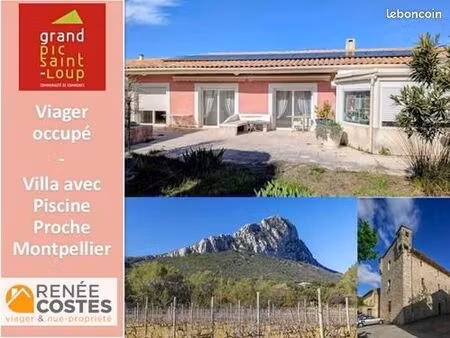 maison en viager 6 pièces 202 m²