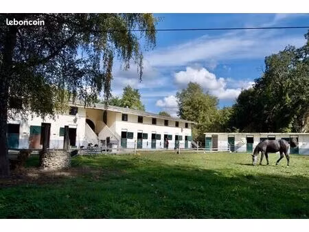 ecurie à louer