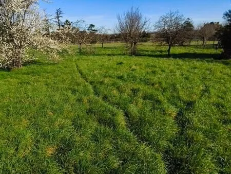 terrain 950 m² houlette