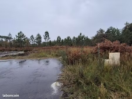 terrain 800 m² parentis en born