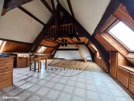 appartement 1 pièce 45 m²