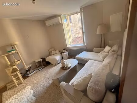 2 appartements lodeve