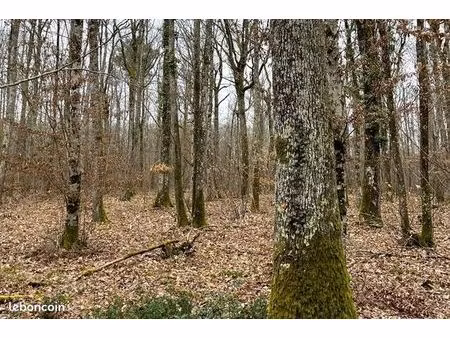 propriété forestière en centre-val de loire-29 hectares-loir-et-cher (41)