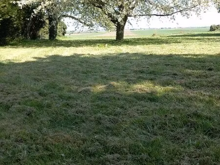 terrain à construire