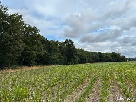 territoire de chasse avec étang dans l’indre d’environ 15 hectares df-634-b