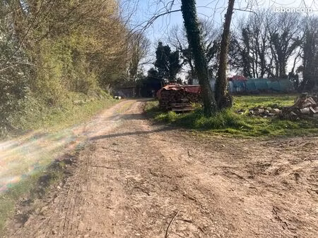 terrain constructible