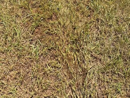 vente terres agricole