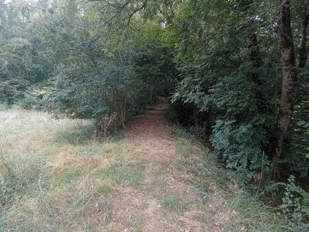 terrain de 4 ha non constructible