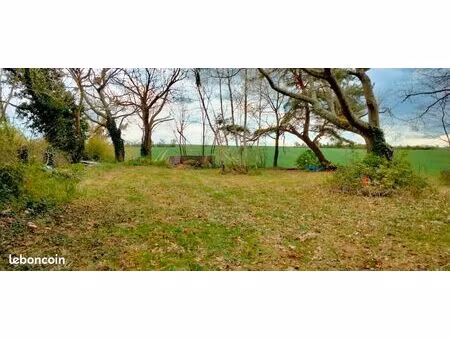 terrain d'agrément arboré