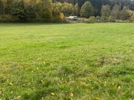 terrain 1 428 m² walscheid