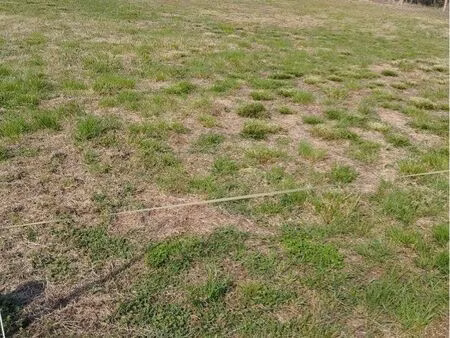 beau terrain constructible viabilisé