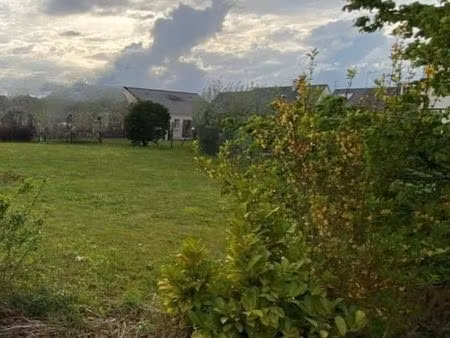 terrain 380 m² vivy