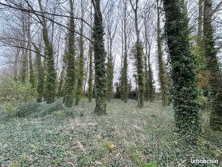 terrain 3800 m² looberghe